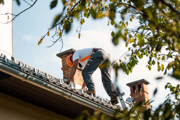 Quick and Trustworthy Emergency Roof Repair Services in Ruhenstroth, NV