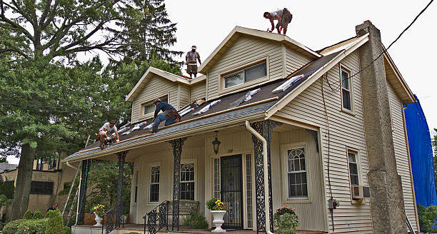 Best Roof Gutter Cleaning  in Ruhenstroth, NV