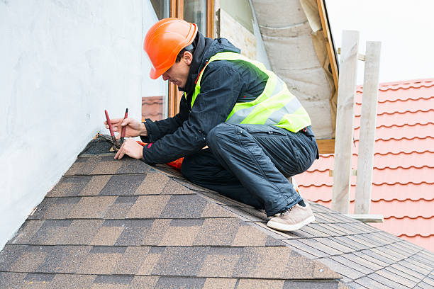 Best Storm Damage Roof Repair  in Ruhenstroth, NV